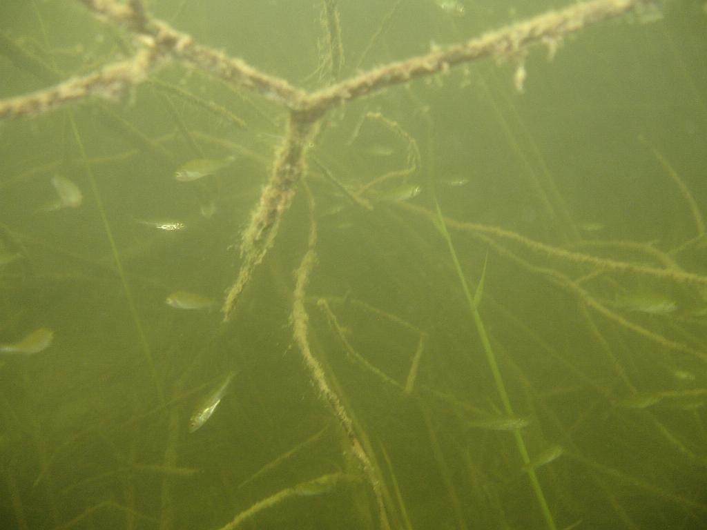 2008-06-29 11-04-19 H.JPG